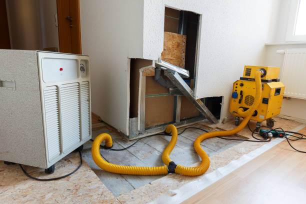Mold Remediation for Vacation Homes in Marina, CA